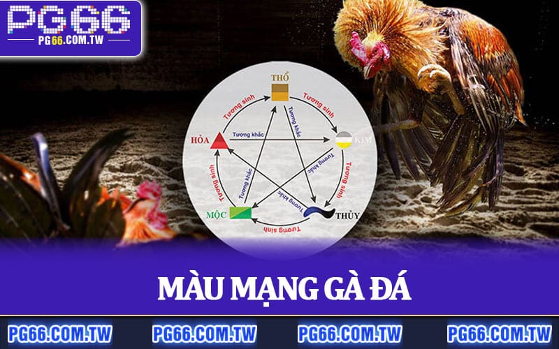 Màu Mạng Gà Đá