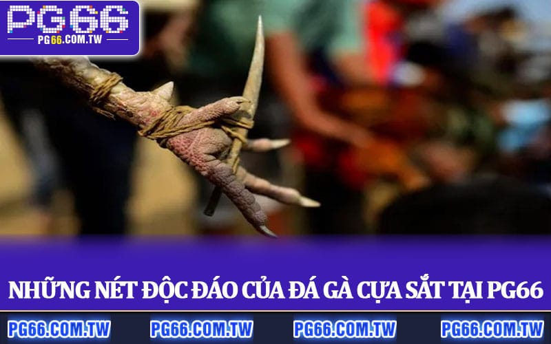 Những nét độc đáo của Đá Gà Cựa Sắt tại PG66